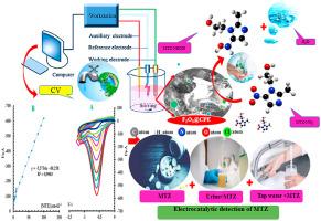 Elaboration of a novel nanosensor using nanoparticles of α-Fe2O3 magnetic cores for the detection of metronidazole drug. Urine human and tap water