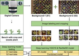 A study on deep learning algorithm performance on weed and crop species identification under different image background