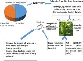 Reproductive effects of Abelmoschus esculentus fruit methanol extract in female Wistar rats