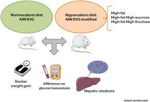 Metabolic dysfunctions promoted by AIN-93G standard diet compared with three obesity-inducing diets in C57BL/6J mice