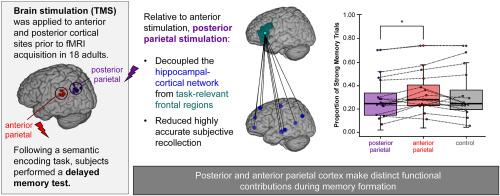 Stimulation of distinct parietal locations differentiates frontal versus hippocampal network involvement in memory formation