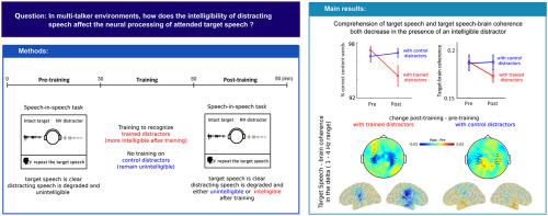 Distracting linguistic information impairs neural tracking of attended speech