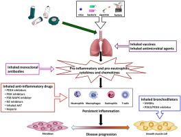 The future of inhalation therapy in chronic obstructive pulmonary disease