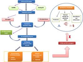 A New Prospect for the Treatment of Nephrotic Syndrome Based on Network Pharmacology Analysis