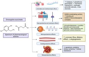 Promising effects of emoxypine and its succinate derivative in the management of various diseases-with insights on recent patent applications