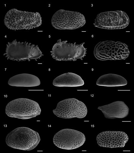 Are CO2-rich seafloor pockmarks a suitable environment for ostracod assemblages? The example of the Zannone Giant Pockmark (central-eastern Tyrrhenian)