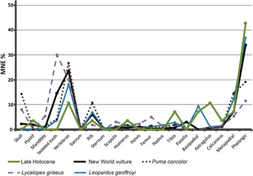 The first fossil record of a bone assemblage accumulated by New World vultures (Gruta do Presépio, Holocene, southern Brazil)