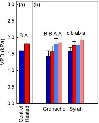 Syrah and Grenache (Vitis vinifera) revealed different strategies to cope with high temperature