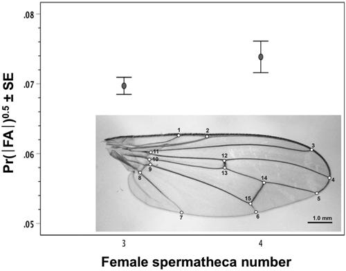 Growth rate mediates hidden developmental plasticity of female yellow dung fly reproductive morphology in response to environmental stressors