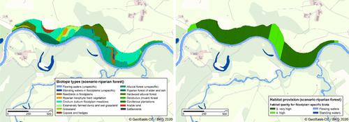 Using the River Ecosystem Service Index to evaluate “Free Moving Rivers” restoration measures: A case study on the Ammer river (Bavaria)