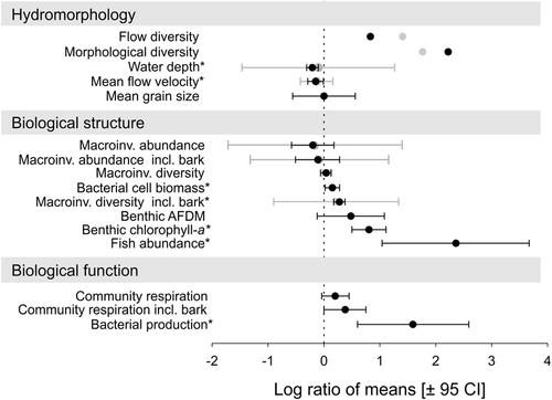 Large wood in river restoration: A case study on the effects on hydromorphology, biodiversity, and ecosystem functioning