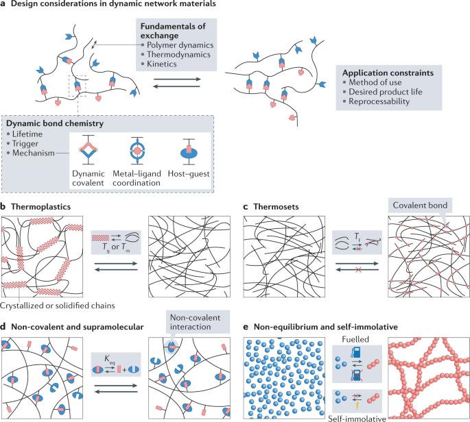 Dynamic and reconfigurable materials from reversible network interactions