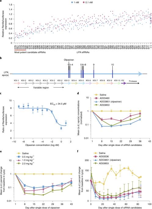 Preclinical development and phase 1 trial of a novel siRNA targeting lipoprotein(a)