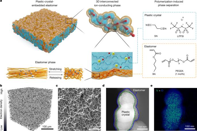 Elastomeric electrolytes for high-energy solid-state lithium batteries