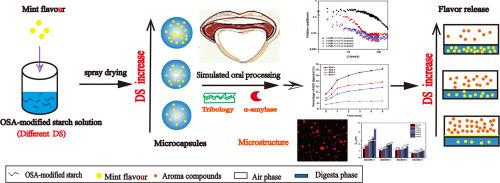 The degree of substitution of OSA-modified starch affects the retention and release of encapsulated mint flavour