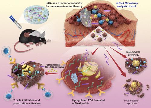 Nanohydroxyapatite Stimulates PD-L1 Expression to Boost Melanoma Combination Immunotherapy