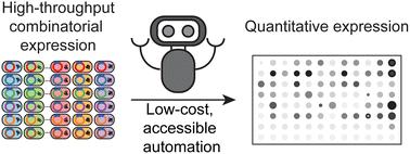 Democratizing the rapid screening of protein expression for materials development†