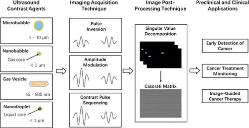 Ultrasound Molecular Imaging and Its Applications in Cancer Diagnosis ...