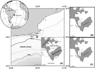 Metals in seston from Cabo Frio Bay, a region under the influence of upwelling in SE–Brazil