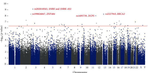 Study of Single Nucleotide Polymorphisms Associated with Breast Cancer Patients among Arab Ancestries.