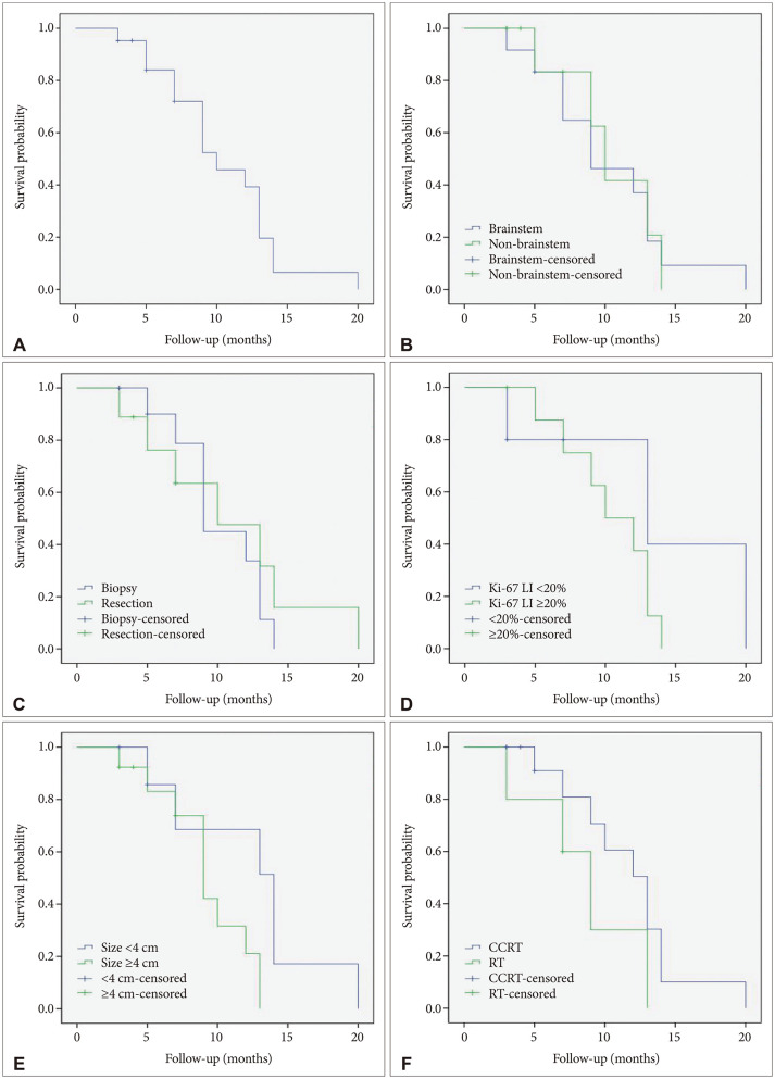 Clinical Features and Prognosis of Diffuse Midline Glioma: A Series of 24 Cases.