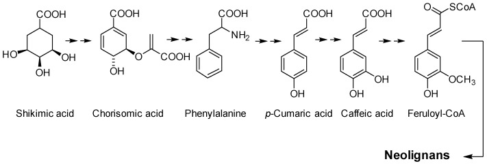 Synthesis and Biological Activities of Dehydrodiisoeugenol: A Review.