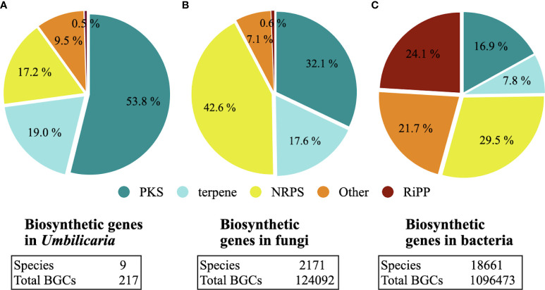 Genome mining as a biotechnological tool for the discovery of novel biosynthetic genes in lichens.