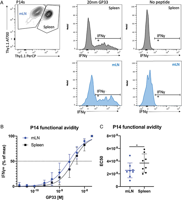 Influenza-Induced CD103<sup>+</sup> T Resident Memory Cells Exhibit Enhanced Functional Avidity over CD103<sup>-</sup> Memory T Cells in the Mediastinal Lymph Node.