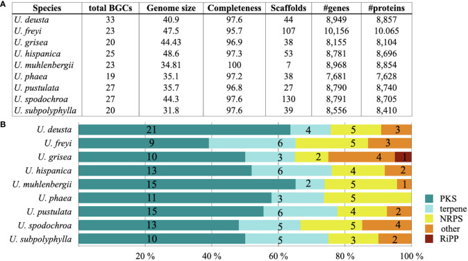 Genome mining as a biotechnological tool for the discovery of novel biosynthetic genes in lichens.