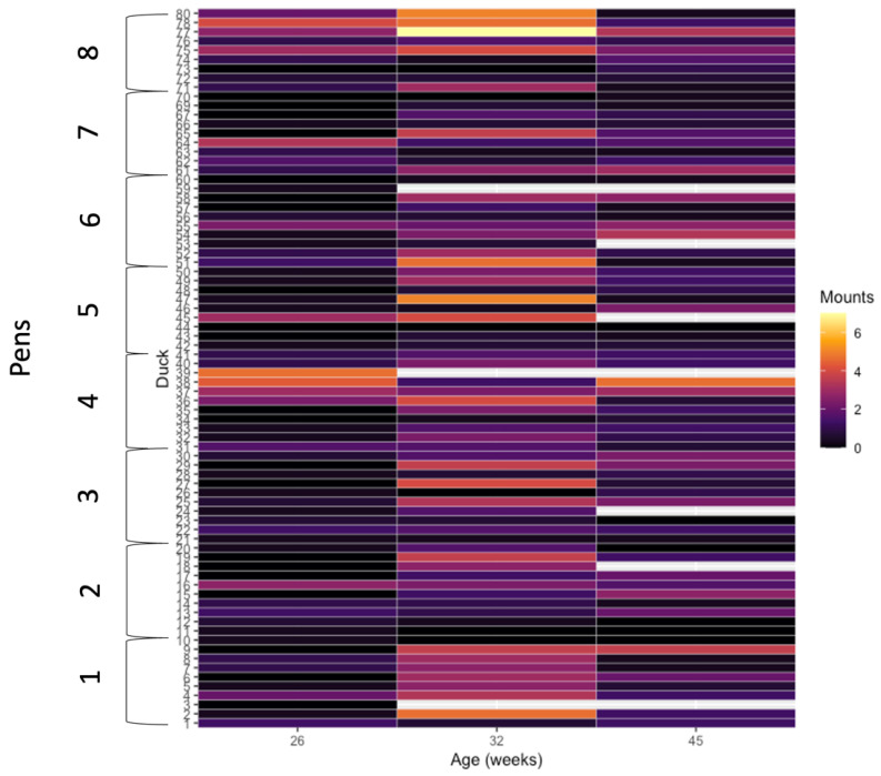 The Impacts of Female Access during Rearing on the Reproductive Behavior and Physiology of Pekin Drakes, and Flock Fertility.
