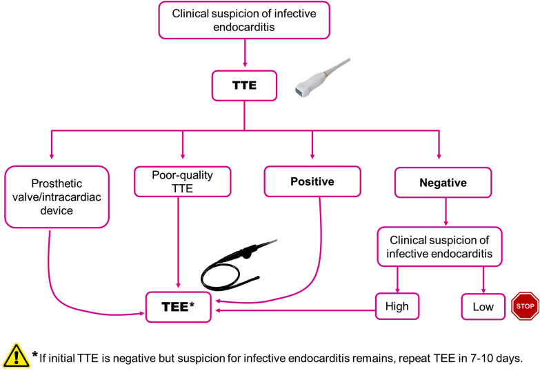 Native-valve endocarditis detected by point-of-care echocardiography.