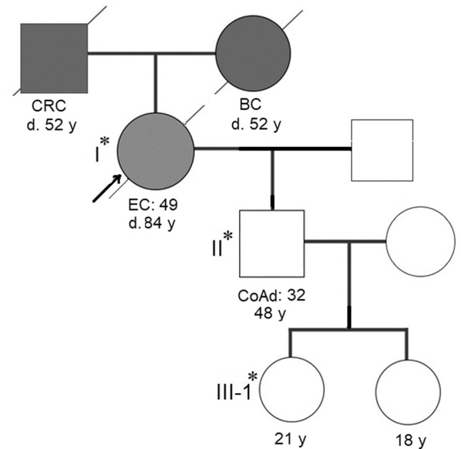 An MSH6 germline pathogenic variant p.Gly162Ter associated with Lynch syndrome.