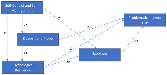 Problematic Internet use in Adults: The Role of Happiness, Psychological Resilience, Dispositional Hope, and Self-control and Self-management.