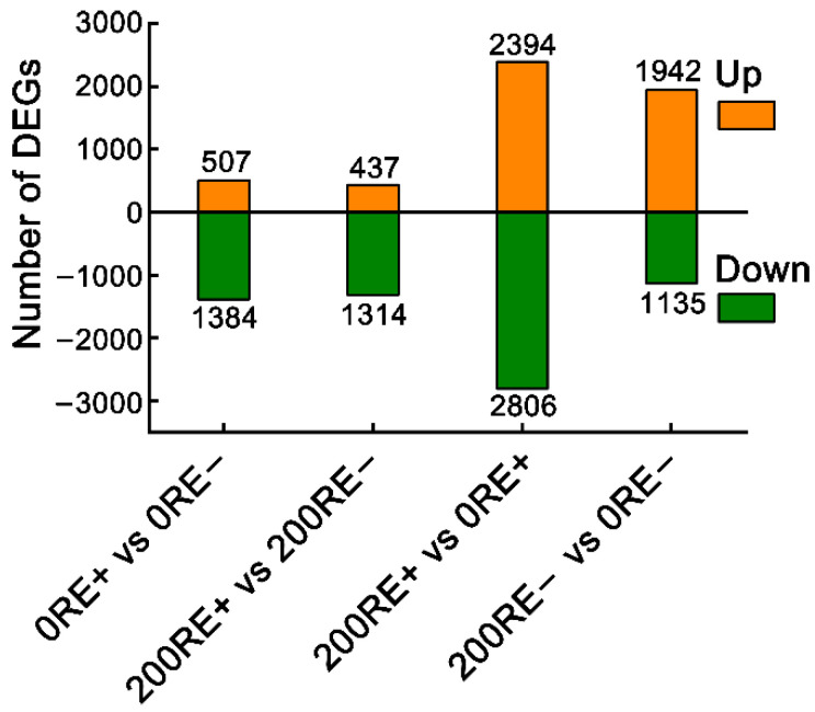 Comprehensive Analysis of Transcriptome and Metabolome Elucidates the Molecular Regulatory Mechanism of Salt Resistance in Roots of <i>Achnatherum inebrians</i> Mediated by <i>Epichloë gansuensis</i>.