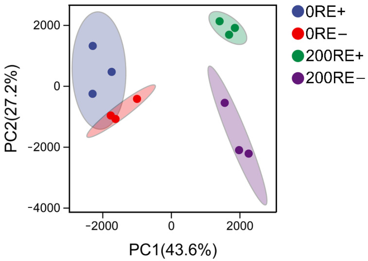 Comprehensive Analysis of Transcriptome and Metabolome Elucidates the Molecular Regulatory Mechanism of Salt Resistance in Roots of <i>Achnatherum inebrians</i> Mediated by <i>Epichloë gansuensis</i>.