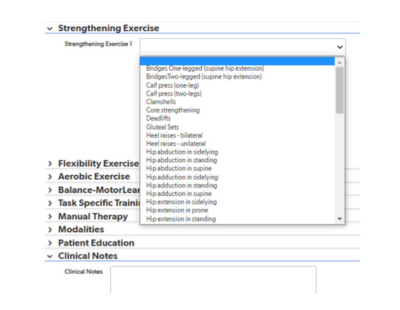 Web-Based System to Capture Consistent and Complete Real-world Data of Physical Therapy Interventions Following Total Knee Replacement: Design and Evaluation Study.