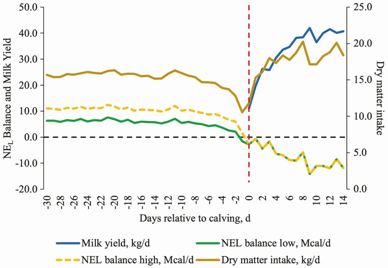 Feeding dairy cows for improved metabolism and health.