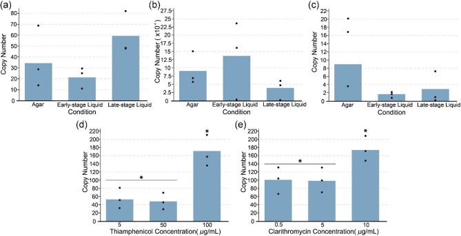 Expanding the genetic engineering toolbox for the metabolically flexible acetogen Eubacterium limosum.