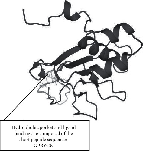 Molecular Assessment of Domain I of Apical Membrane Antigen I Gene in <i>Plasmodium falciparum</i>: Implications in <i>Plasmodium</i> Invasion, Taxonomy, Vaccine Development, and Drug Discovery.