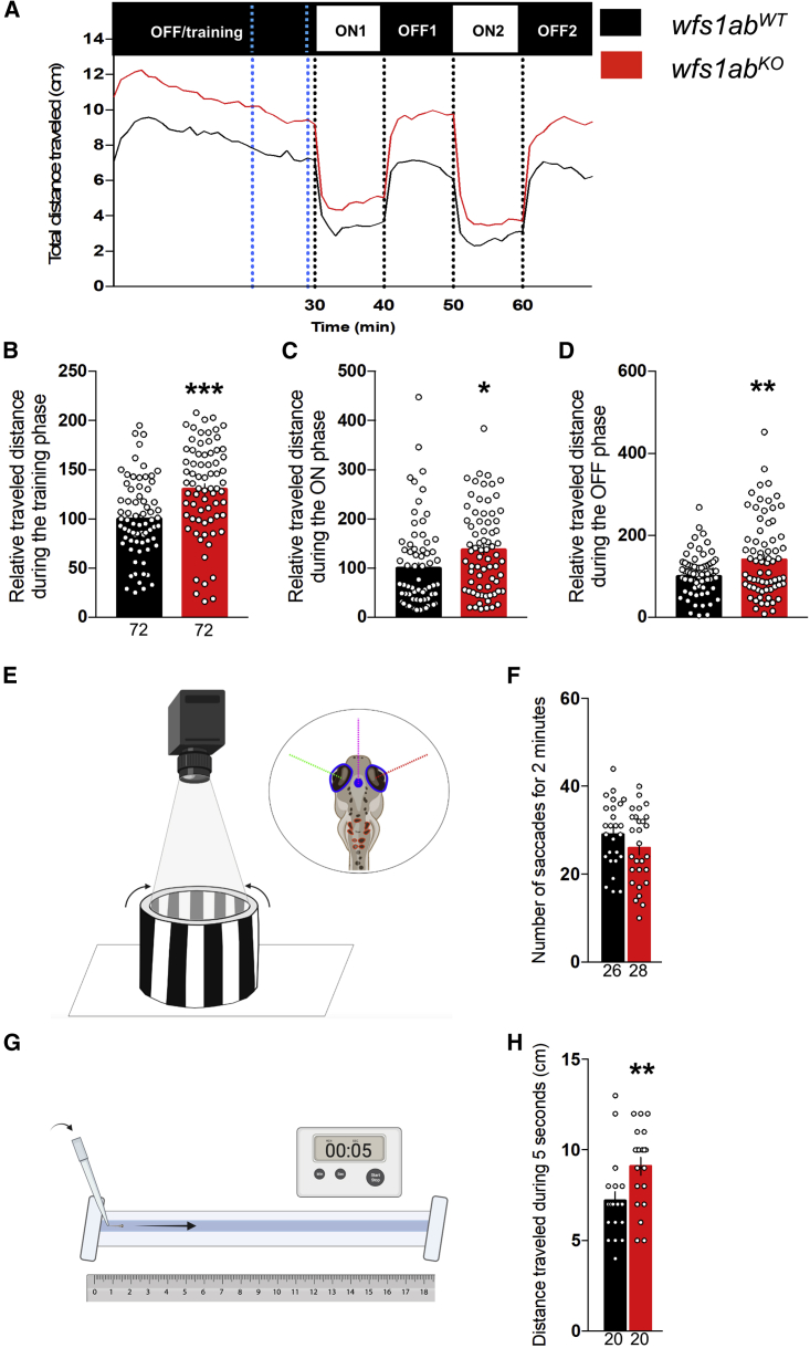 NCS1 overexpression restored mitochondrial activity and behavioral alterations in a zebrafish model of Wolfram syndrome.