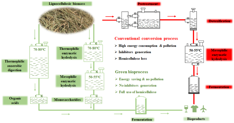 Biosynthesis of value-added bioproducts from hemicellulose of biomass through microbial metabolic engineering