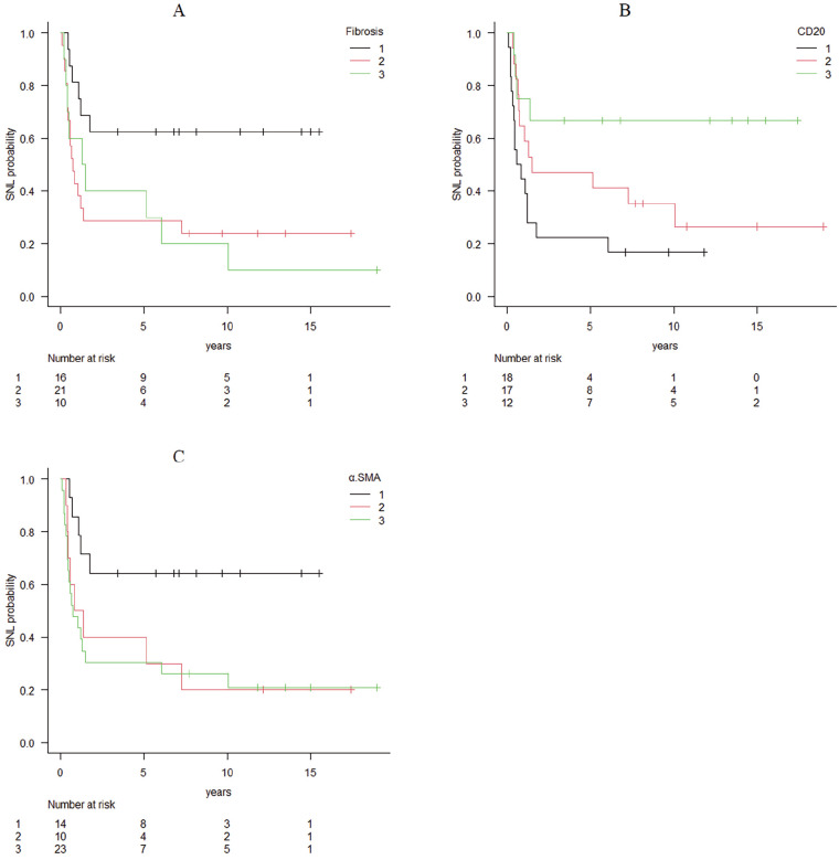Relationships Between Histopathological Findings in the Liver and Prognosis in Patients With Biliary Atresia.