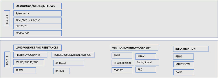 Impulse Oscillometry, Small Airways Disease, and Extra-Fine Formulations in Asthma and Chronic Obstructive Pulmonary Disease: Windows for New Opportunities.