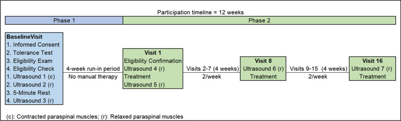 Thoracolumbar fascia mobility and chronic low back pain: Phase 2 of a pilot and feasibility study including multimodal chiropractic care.