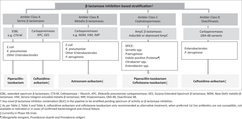 Best practices: Appropriate use of the new β-lactam/β-lactamase inhibitor combinations, ceftazidime-avibactam and ceftolozane-tazobactam in South Africa.