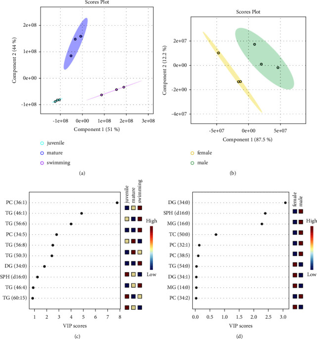 Lipid Profiling of Pacific Abalone (<i>Haliotis discus hannai</i>) at Different Developmental Stages Using Ultrahigh Performance Liquid Chromatography-Tandem Mass Spectrometry.