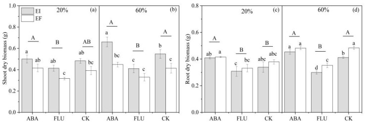 Abscisic Acid May Play a Critical Role in the Moderating Effect of <i>Epichloë</i> Endophyte on <i>Achnatherum inebrians</i> under Drought Stress.