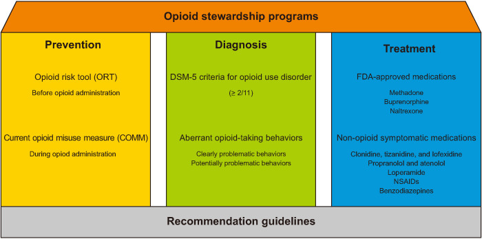 Prevention, diagnosis, and treatment of opioid use disorder under the supervision of opioid stewardship programs: it's time to act now.