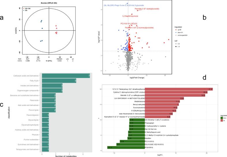 Effects of UVA disappearance and presence on the acylated anthocyanins formation in grape berries