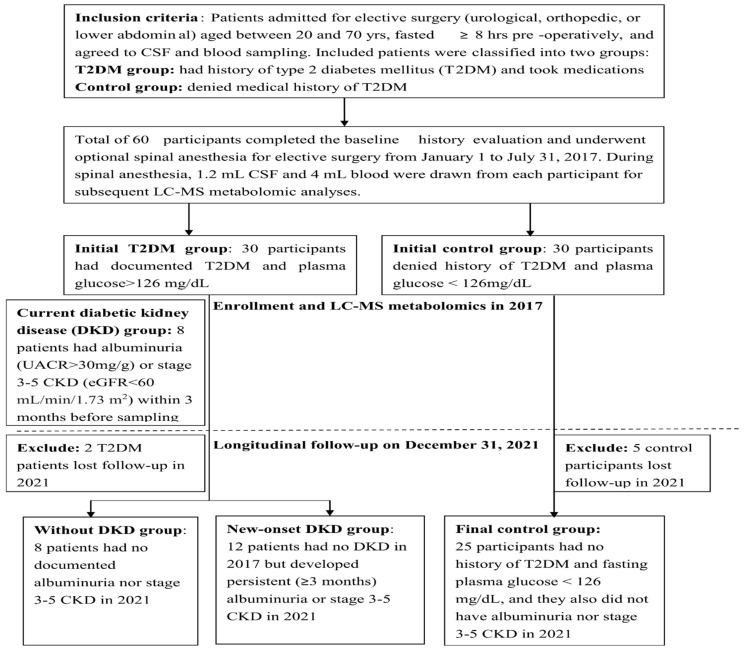 Metabolomic Signature of Diabetic Kidney Disease in Cerebrospinal Fluid and Plasma of Patients with Type 2 Diabetes Using Liquid Chromatography-Mass Spectrometry.